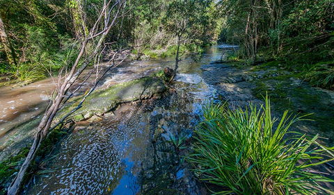 Dawson River Walking Track - Lismore Accommodation 0