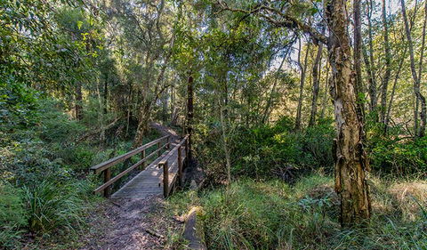 Dawson River Walking Track - Lismore Accommodation 1