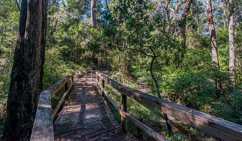 Dawson River Walking Track - Lismore Accommodation 3