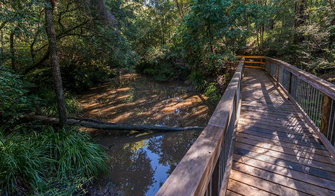 Ms Kellys Walking Track - Lismore Accommodation 0