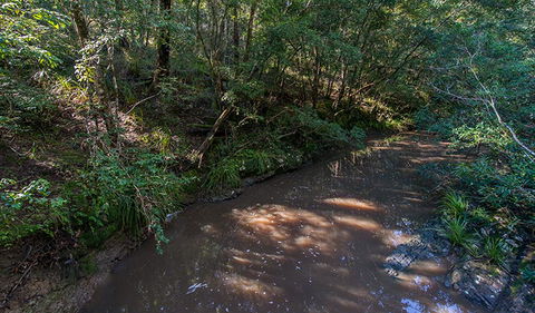Ms Kellys Walking Track - Lismore Accommodation 2