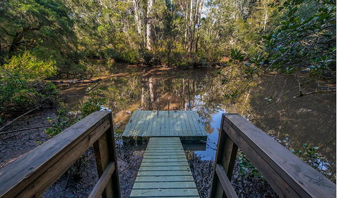 Brimbin Picnic Area - Lismore Accommodation 1