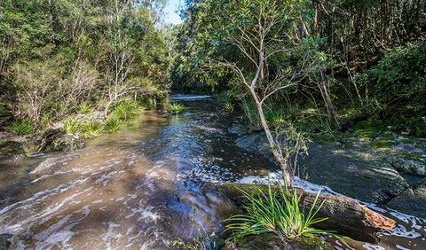 Brimbin Picnic Area - Lismore Accommodation 2