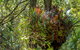 Brimbin Picnic Area - thumb 3