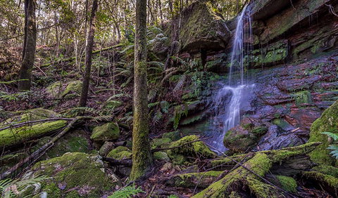 Coorabakh National Park - Lismore Accommodation 0