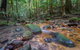 Coorabakh National Park - thumb 1