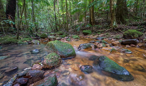 Coorabakh National Park - Lismore Accommodation 1