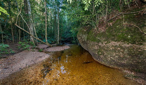 Coorabakh National Park - Lismore Accommodation 2