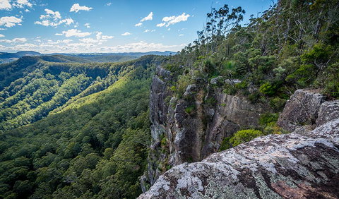Coorabakh National Park - Lismore Accommodation 3