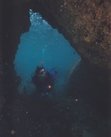 Tangalooma Wrecks Dive Site - Lismore Accommodation 3