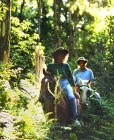  Lismore Accommodation