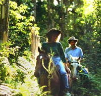 Clarendon Forest Retreat Horse Riding - Lismore Accommodation
