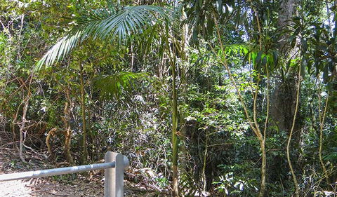 Goorgana Walking Track - Lismore Accommodation 0