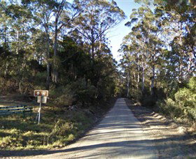 Box Cutting Rainforest Walk - Lismore Accommodation 0