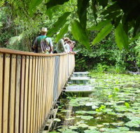 Rocky Creek Dam - Lismore Accommodation
