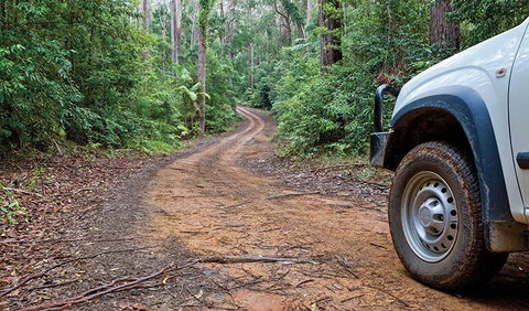 Ulidarra National Park - Lismore Accommodation 2