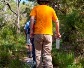 Naree Budjong Djara National Park - Lismore Accommodation 3