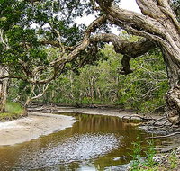 Saltwater National Park - Lismore Accommodation