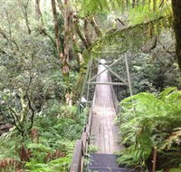 Bemm River Scenic Reserve - Lismore Accommodation