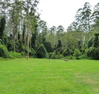 Kerewong State Forest - Lismore Accommodation