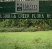 Woolgoolga Creek Flora Reserve - Lismore Accommodation