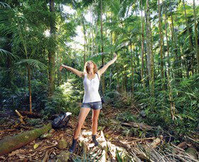 Victoria Park Nature Reserve - Lismore Accommodation 0
