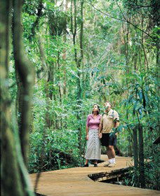 Victoria Park Nature Reserve - Lismore Accommodation 1