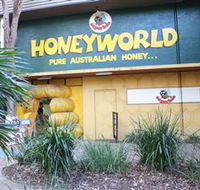 Superbee Honeyworld Gold Coast - Lismore Accommodation