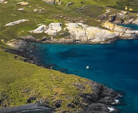Montague Island Nature Reserve - Lismore Accommodation 1