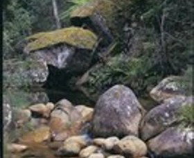 Mumbulla Creek Falls And Picnic Area - Lismore Accommodation 1