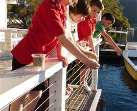 Dunbogan Boatshed - Lismore Accommodation 3