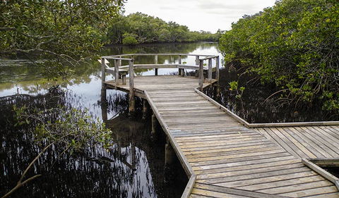 Walk On Water Walking Track - Lismore Accommodation 1