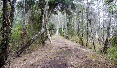 Walk On Water Walking Track - Lismore Accommodation 2
