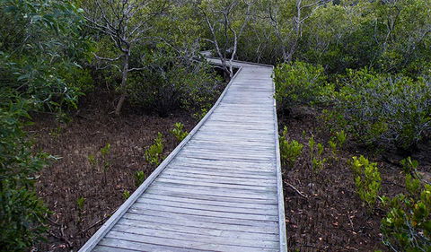 Walk On Water Walking Track - Lismore Accommodation 3