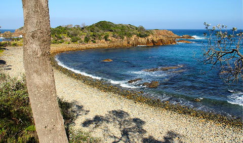 Mimosa Rocks Walking Track - Lismore Accommodation 2