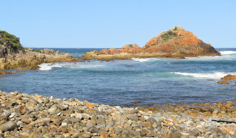 Mimosa Rocks Walking Track - Lismore Accommodation 3