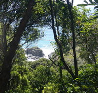 Rainforest walking track - Lismore Accommodation
