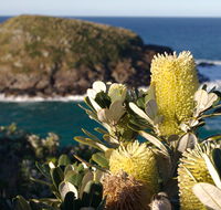Green Island walking track - Lismore Accommodation