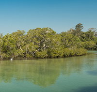 Tyagarah Nature Reserve - Lismore Accommodation