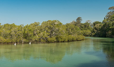 Tyagarah Nature Reserve - Lismore Accommodation 0
