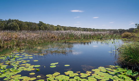 Tyagarah Nature Reserve - Lismore Accommodation 1