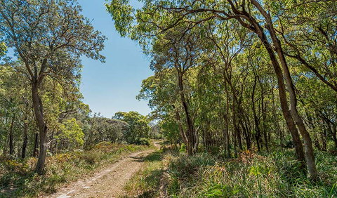 Tyagarah Nature Reserve - Lismore Accommodation 2