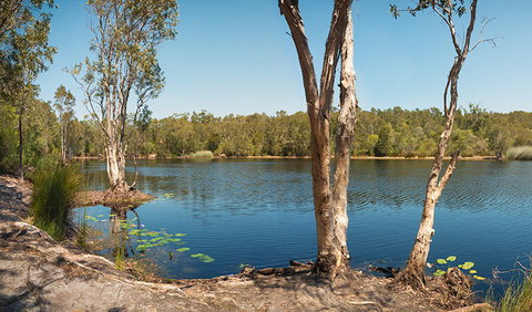 Tyagarah Nature Reserve - Lismore Accommodation 3
