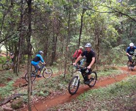 Byron Bay Bike Park - Lismore Accommodation 2