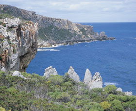 D'Entrecasteaux National Park - Lismore Accommodation 3