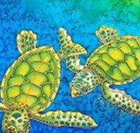 Sea Silks Gallery - Lismore Accommodation