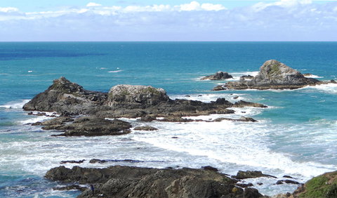 Broken Head Nature Reserve - Lismore Accommodation 3