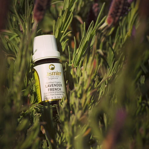 Jasmin Organics Skincare Farm And Factory - Lismore Accommodation 7