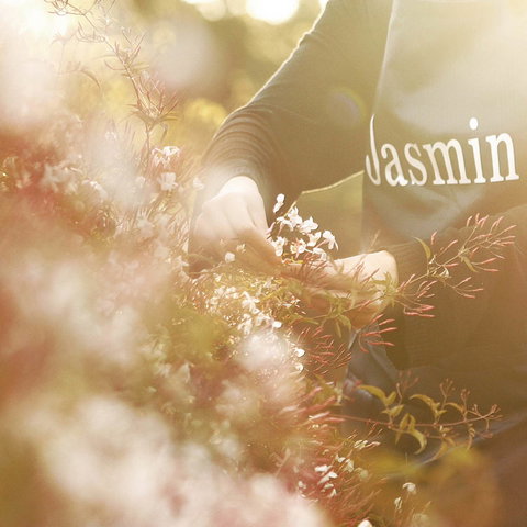 Jasmin Organics Skincare Farm And Factory - Lismore Accommodation 8