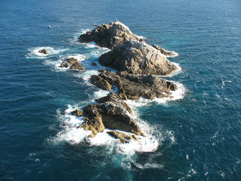Cape Byron Marine Park - Lismore Accommodation 1